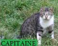 Capitaine 1