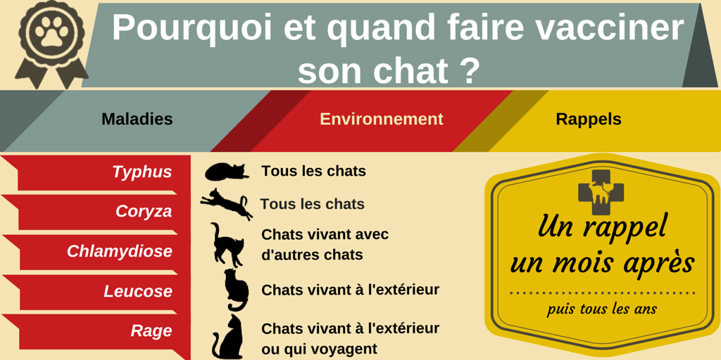 Chats vaccination