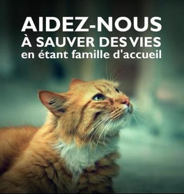 Famille d accueil 1