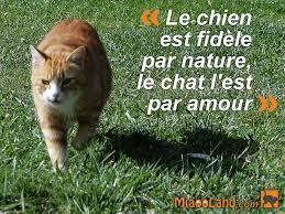 Images 20