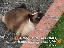 Images 22