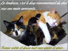 Images 23