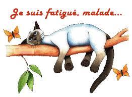 Images 8 1
