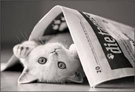 Images 8 5