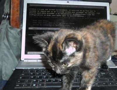 Java