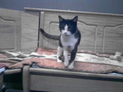 Jhonny 2