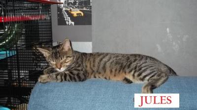 Jules 09 14