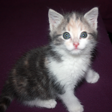 Juline le 20 11 14