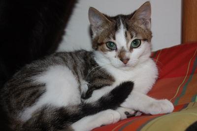 Lucile 2