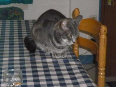 Mme bacci essomes le 3 09 14