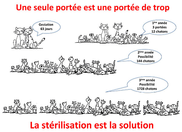 Proliferation