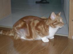 sam-3714.jpg