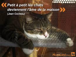 Telechargement 5